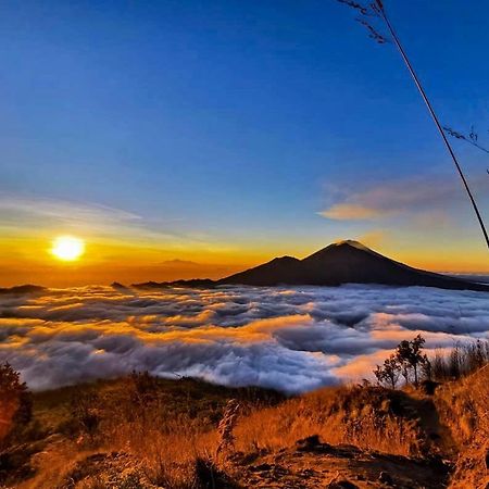 Manik Tirta Cabin'S Kintamani Dış mekan fotoğraf