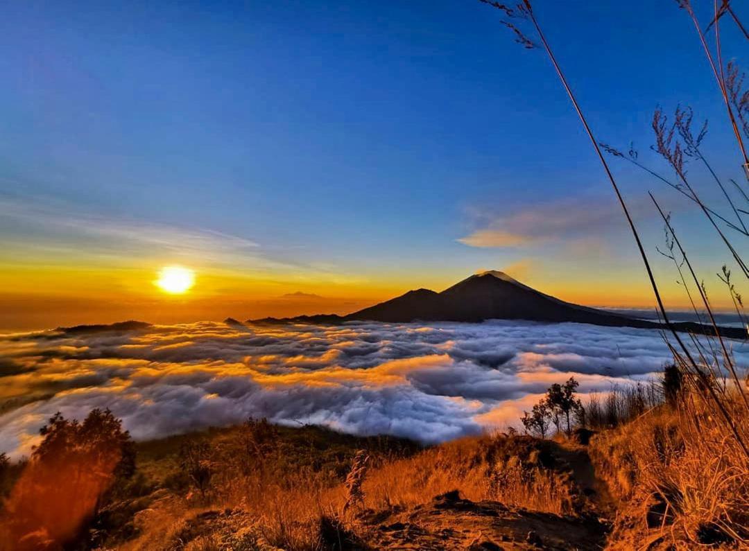 Manik Tirta Cabin'S Kintamani Dış mekan fotoğraf