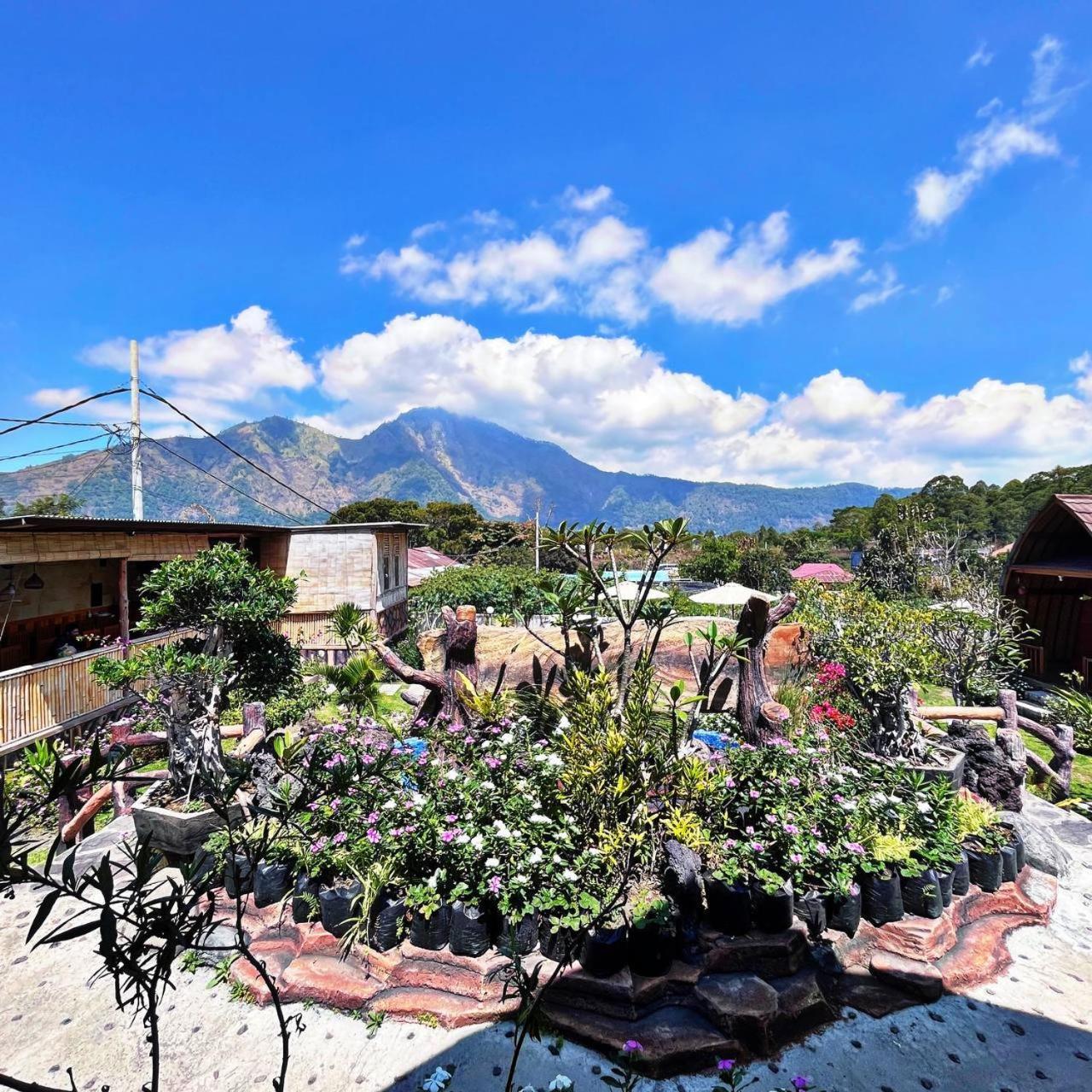 Manik Tirta Cabin'S Kintamani Dış mekan fotoğraf